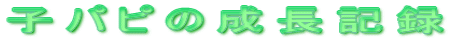 �q�p�s�̐����L�^