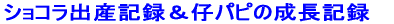�V���R���o�Y�L�^���e�p�s�̐����L�^
