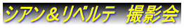 �V�A�������x���e�@�B�e��