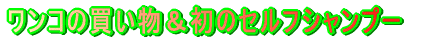 �_�b�N�A�Ń����`�����̃Z���t�V�����v�[